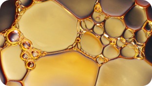 emollients-ingredient-cosmetics