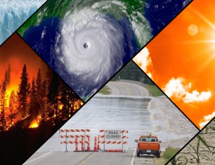 Environmental-Influences