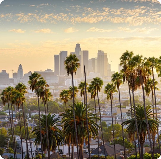 cosmetic-solutions-for-los-angeles-cosmetics-brands