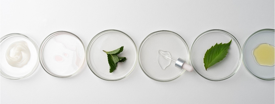 6 Essential Ingredients